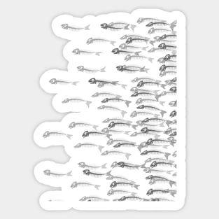 Anatomy Of A Fish - the whole school Sticker